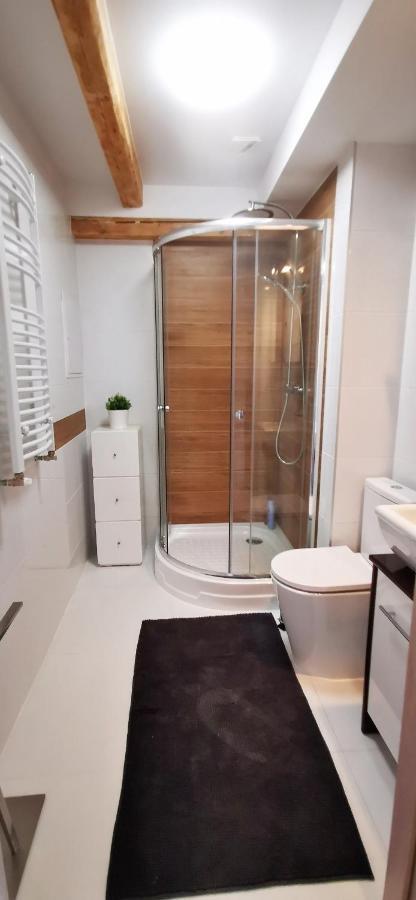 Apartment Klimatyczny Nr 8 Z Widokiem Na Gory Sowie Bielawa (Dzierzoniow)