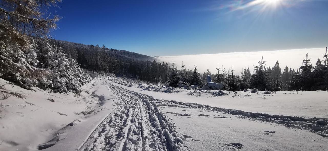 Klimatyczny Nr 8 Z Widokiem Na Gory Sowie Bielawa (Dzierzoniow)