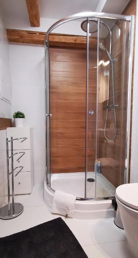 Apartment Klimatyczny Nr 8 Z Widokiem Na Gory Sowie Bielawa (Dzierzoniow)